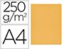 CLASSIFICADOR DE CARTOLINA GIO SIMPLE INTENSO DIN 