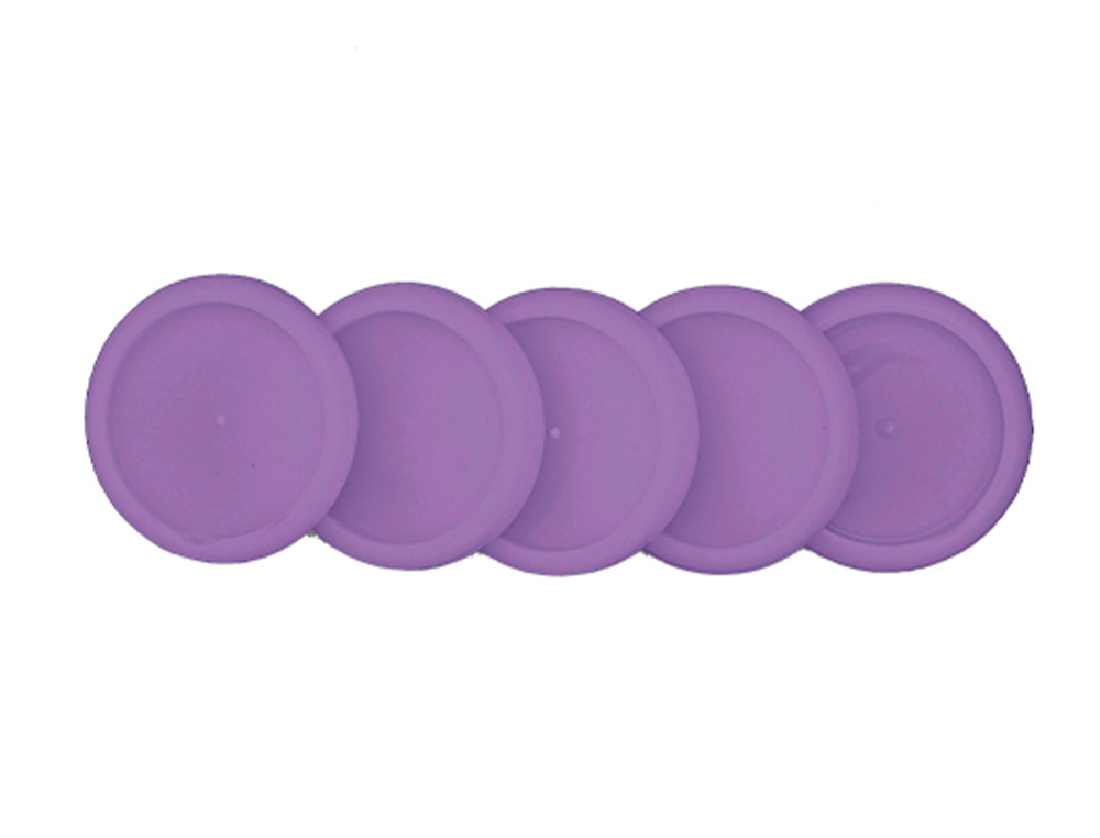 DISCOS Y ELASTICO CUADERNO INTELIGENTE M MORADO DE PAMPAS
