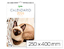 CALENDARI ESPIRAL PARET LIDERPAPEL IMATGES GATS 2026 PER ESCRIURE 25X40 CM PAPER 157 GR