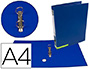 PASTA DE ARQUIVO LIDERPAPEL COLOR SYSTEM CARTAO FO