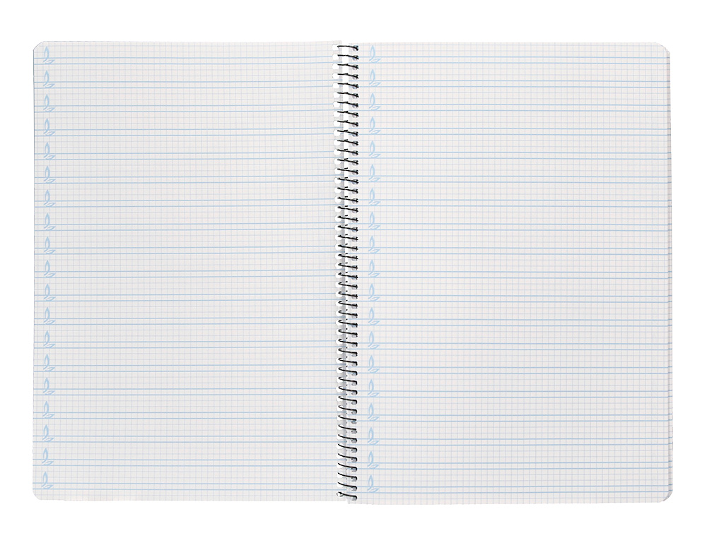 CUADERNO ESPIRAL LIDERPAPEL FOLIO PAUTAGUIA TAPA PLASTICO 80H 75GR CUADRO PAUTADO 4MM CON MARGEN COLOR VIOLETA