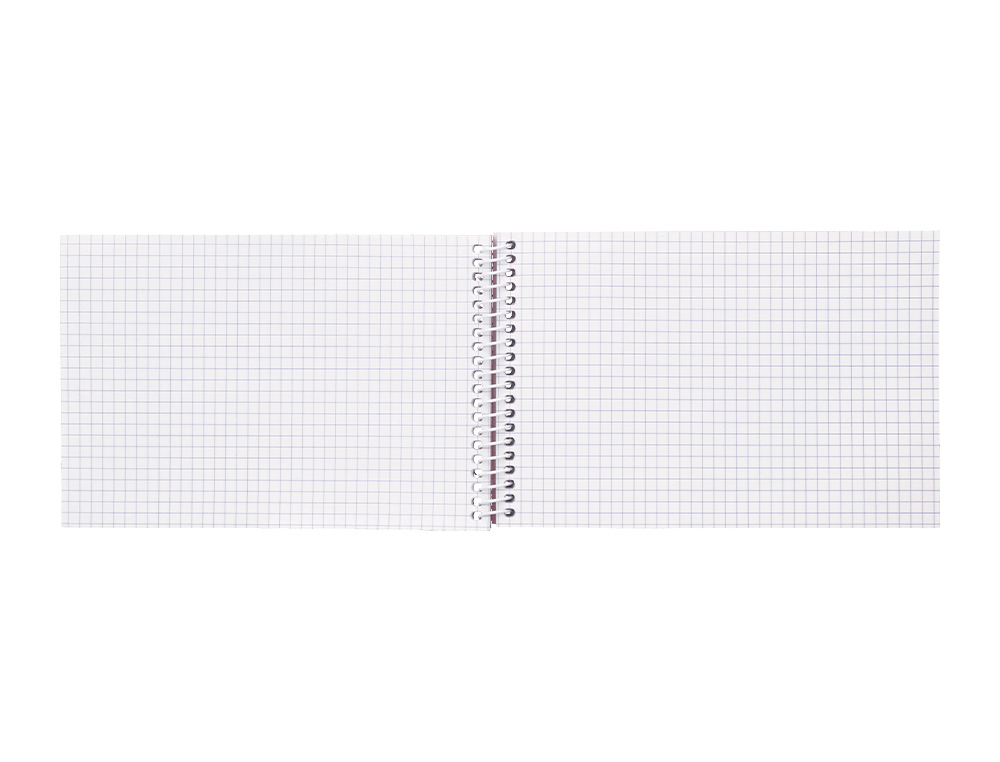 CUADERNO ESPIRAL LIDERPAPEL BOLSILLO OCTAVO APAISADO WITTY TAPADURA 80H 75GR CUADRO 4 MM COLORES SURTIDOS