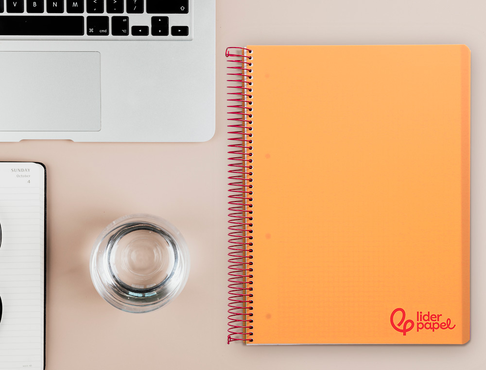 CADERNO ESPIRAL LIDERPAPEL WONDER MICRO DIN A4 CAPA PLASTICO 120 F 90 GR QUADRICULA 5 MM 5 BANDAS DE CORES 4 FUROS LARAN