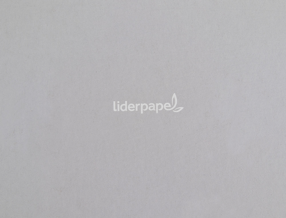 CUADERNO ESPIRAL LIDERPAPEL A5 MICRO WITTY TAPA DURA 140H 75GR CUADRO 5MM 5 BANDAS 6 TALADROS COLORES SURTIDOS