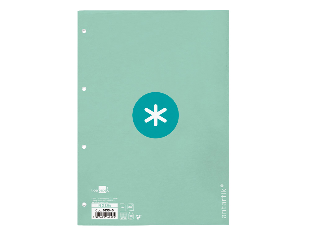 Recambio liderpapel a4 antartik 80 hojas 90g/m2 cuadro 5 mm 4 taladros 1 banda marco color menta