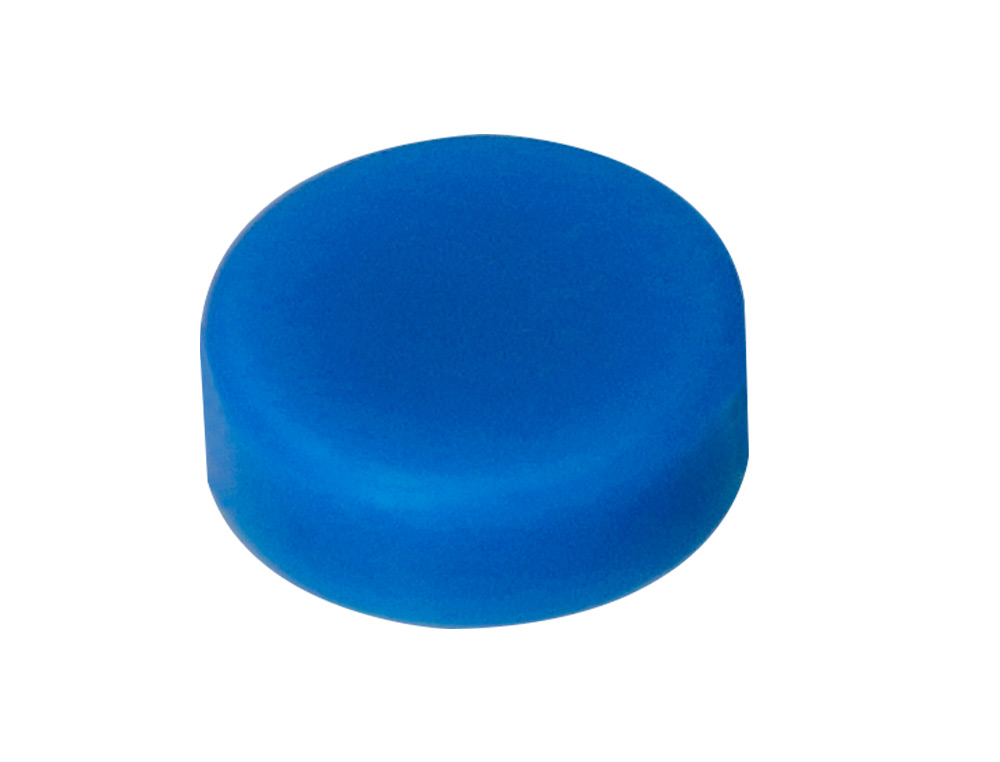 IMANES PARA SUJECION LIDERPAPEL ECOUSE PP RECICLADO PARA PIZARRA MAGNETICA 25 MM CAJA DE 10 UNIDADES