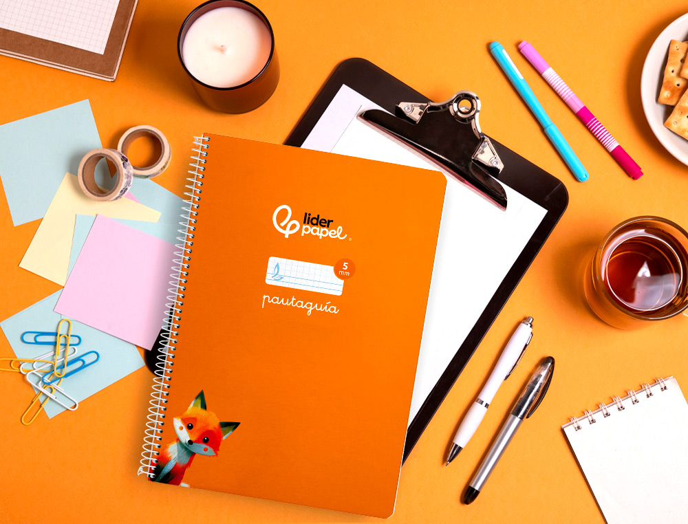 CUADERNO ESPIRAL LIDERPAPEL A4 PAUTAGUIA TAPA BLANDA 80H 75 GR CUADRO PAUTADO 5MM COLOR NARANJA