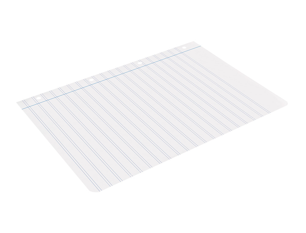 RECAMBIO LIDERPAPEL A4 100 HOJAS 75GR PAUTA 5 2.5MM CON MARGEN 4 TALADROS