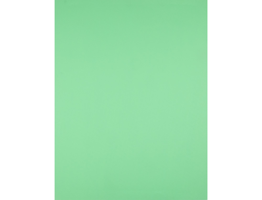 Cartulina liderpapel 50x65 cm verde pistacho 180 gr unidad