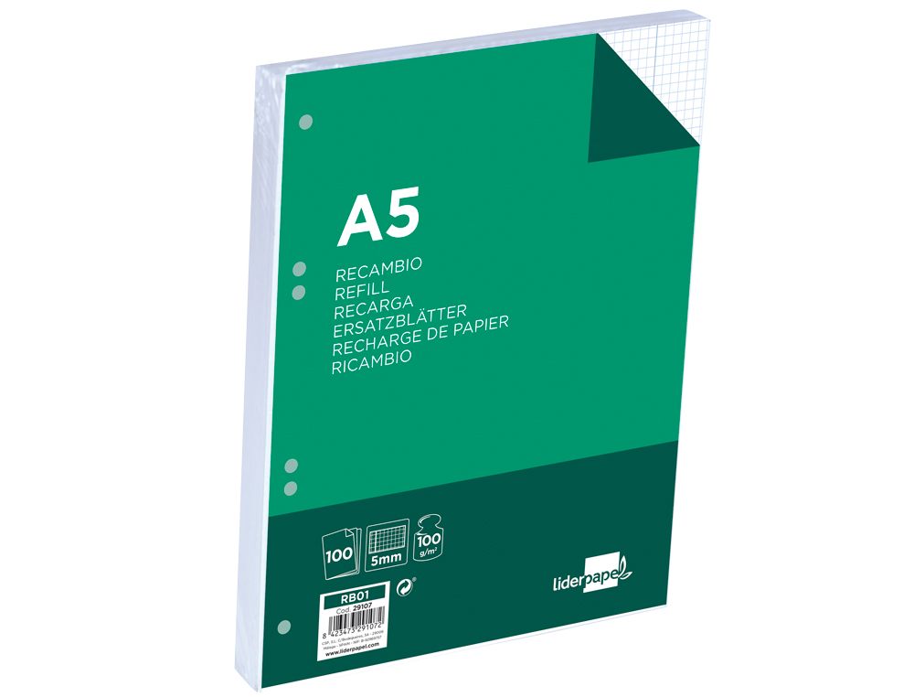 Recambio liderpapel a5 100 h 100g/m2 cuadro 5mm con margen 6 taladros