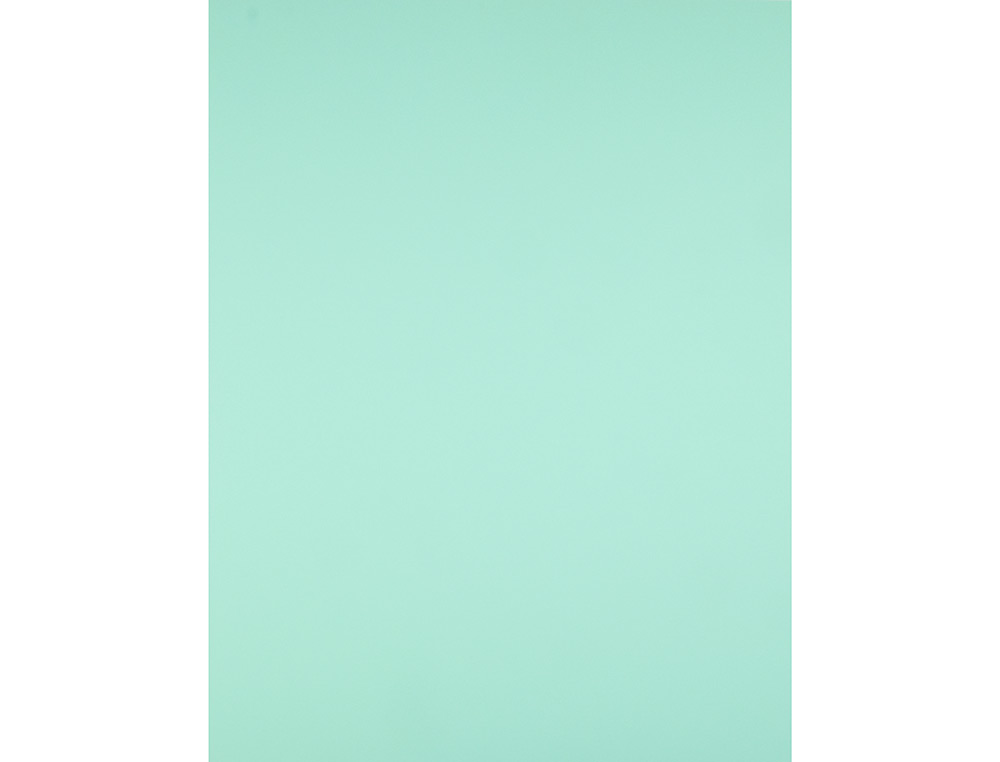 Cartulina liderpapel 50x65 cm 240g/m2 verde