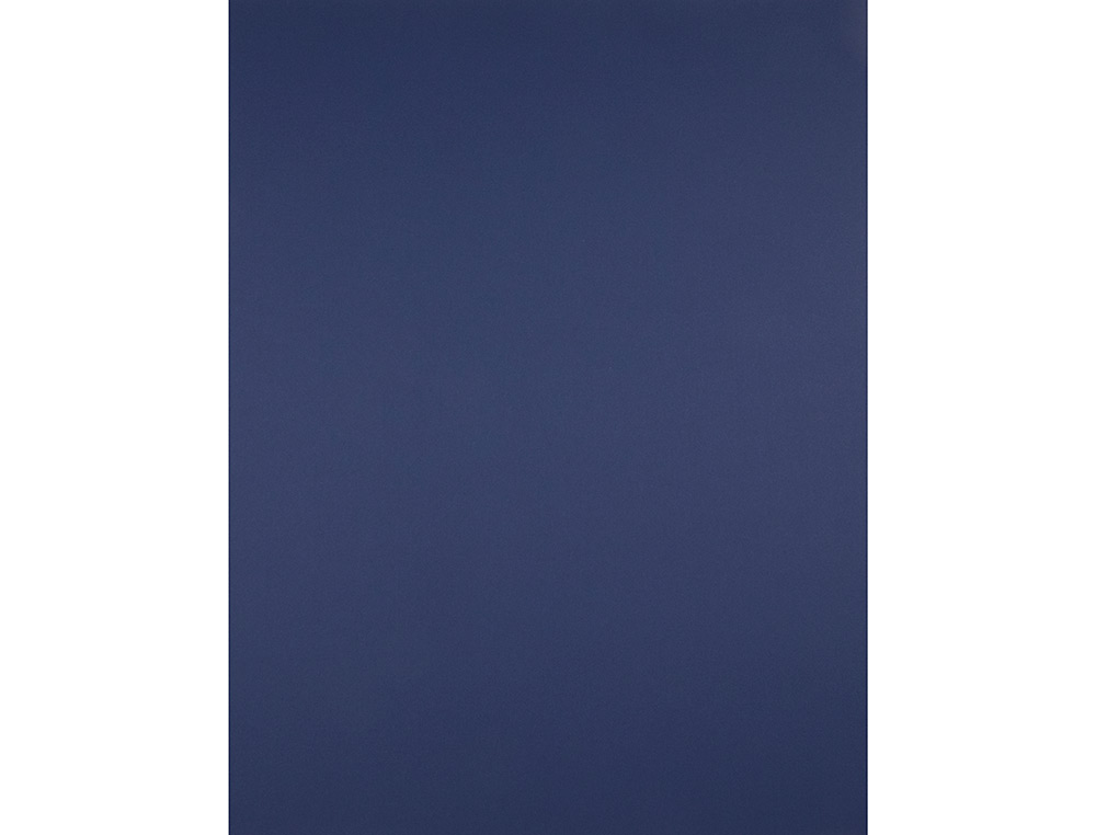 Cartulina liderpapel 50x65 cm 240 g/m2 azul zafiro