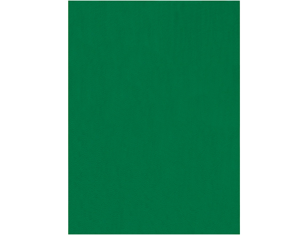 Fieltro liderpapel 50x70cm verde 160g/m2