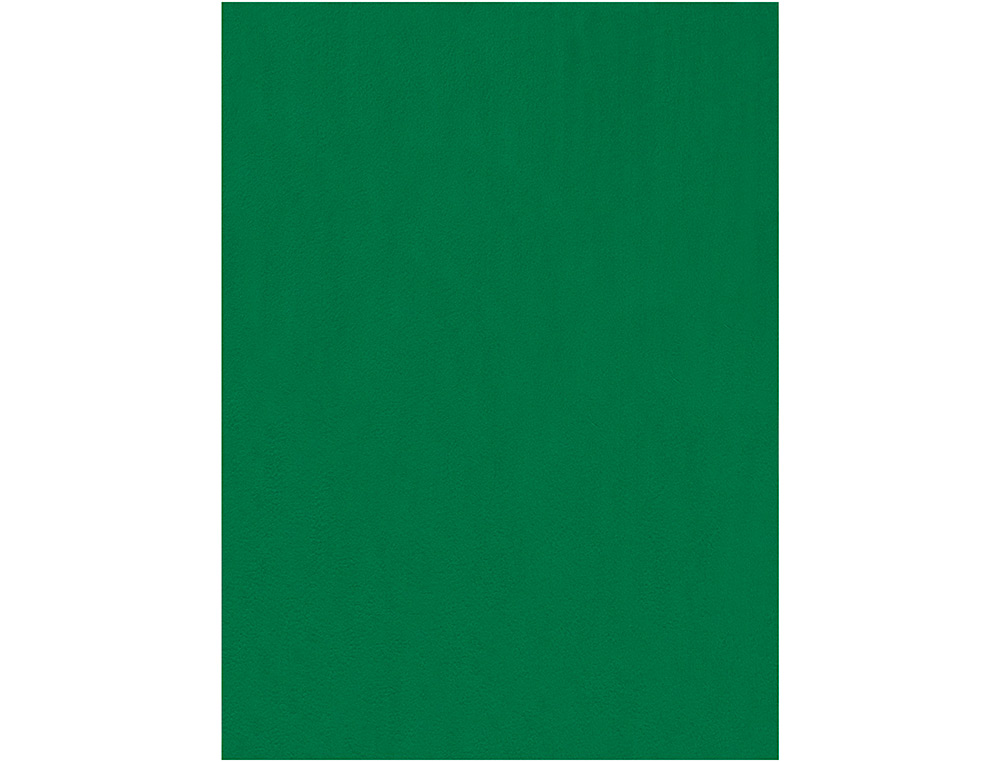 Fieltro liderpapel 50x70cm verde 160g/m2