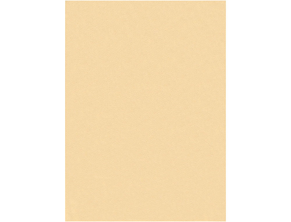 Fieltro liderpapel 50x70cm color carne 160g/m2