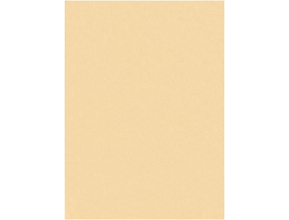 Fieltro liderpapel 50x70cm color carne 160g/m2