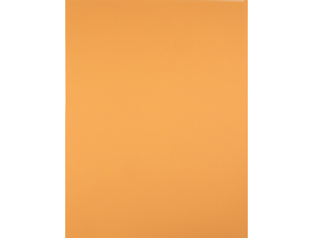 Cartulina liderpapel 50x65 cm 240 g/m2 avellana
