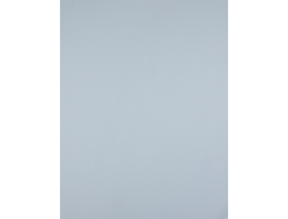 Cartulina liderpapel 50x65 cm 180 gr gris unidad