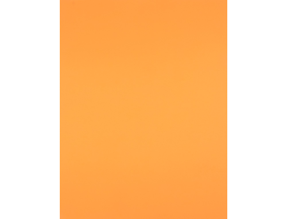 Cartulina liderpapel 50x65 cm 180 gr nectarina unidad