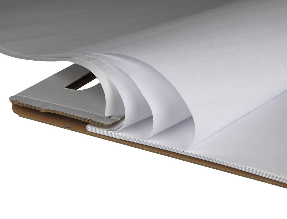 BLOC CONGRÉS LIDERPAPEL LLIS 630X840 MM 50 FULLS 80G/M2