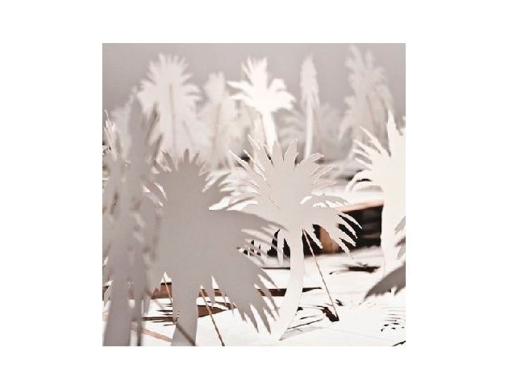 CARTON PRECISION DIBUJO PROYECTO 50X065 740 Gramos