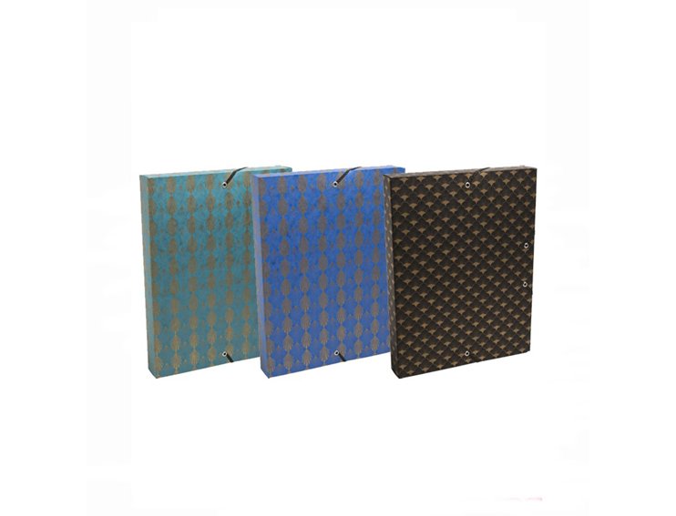 CARPETA PROYECTO EXACOMPTA DINA4 40MM GRECO SURTIDO
