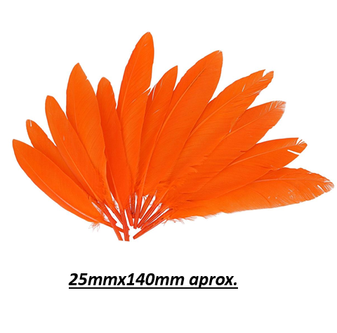 PLUMAS GRANDES ''INDIO'' INSPIRO COLOR NARANJA